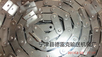 德雷克廠家直銷304不銹鋼鏈條 不銹鋼滾子鏈,德雷克廠家直銷304不銹鋼鏈條 不銹鋼滾子鏈生產(chǎn)廠家,德雷克廠家直銷304不銹鋼鏈條 不銹鋼滾子鏈價(jià)格